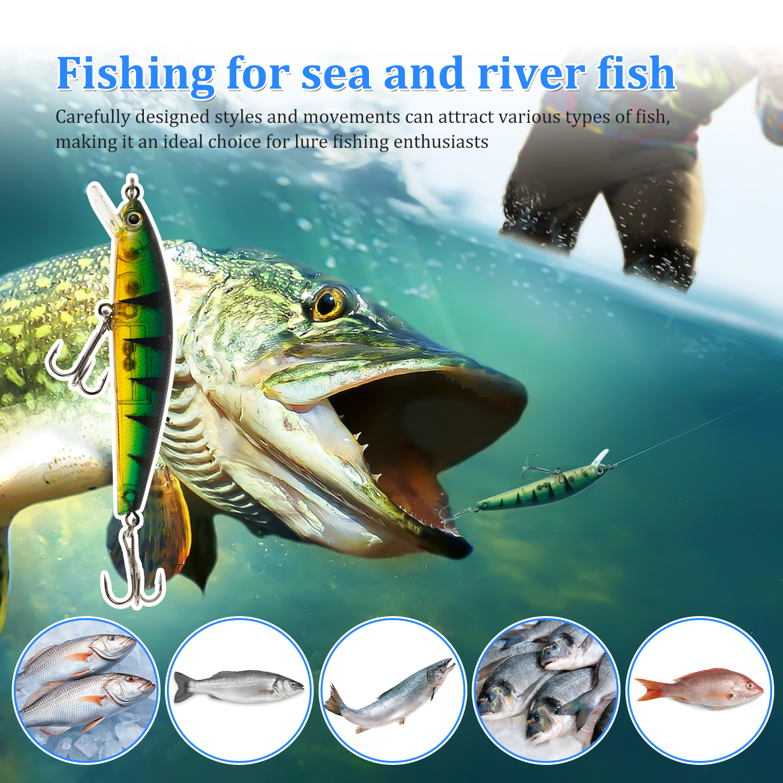 Advent Calendar Fishing Lure C - Advent Calendar Gift review and price